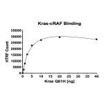 Kras Q61H–cRAF Binding Assay Kit